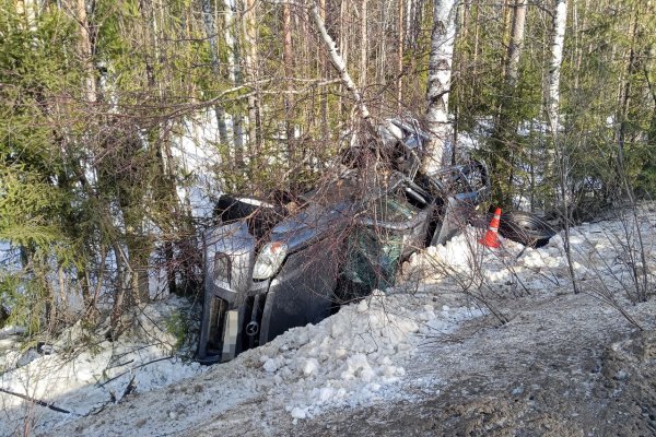 В Корткеросском районе водитель пикапа Mazda съехал в кювет и врезался в дерево