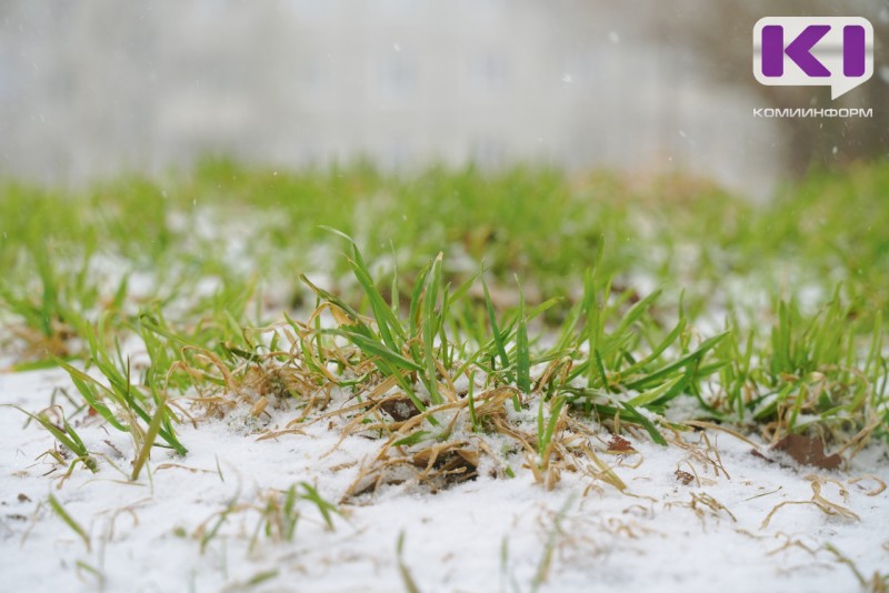 Погода в Коми 19 марта: на севере сильный снег, на юге +10°С