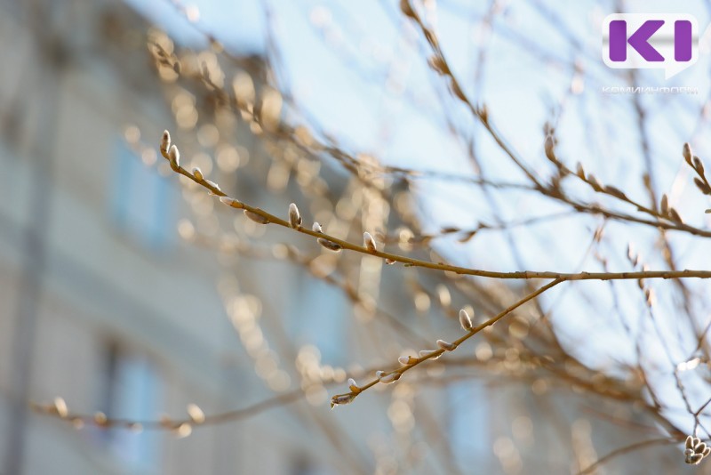 Метеорологическая весна в Коми наступила раньше астрономической