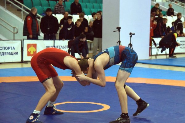 Около пятидесяти вольников поборются в Сыктывкаре на первенстве СЗФО