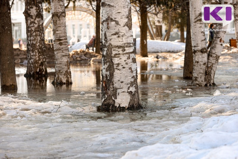 Погода в Коми 28 марта: местами небольшой дождь, в Воркутинском районе метель
