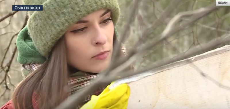 Белое полотно против кровососов: биолог из Коми раскрыла неожиданный способ защиты участка от клещей