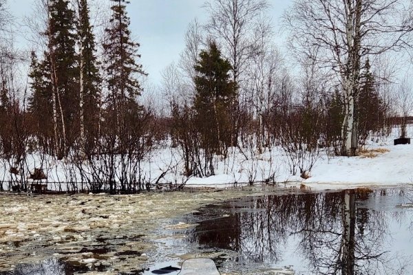 На реке Малая Инта снегоход провалился под лёд