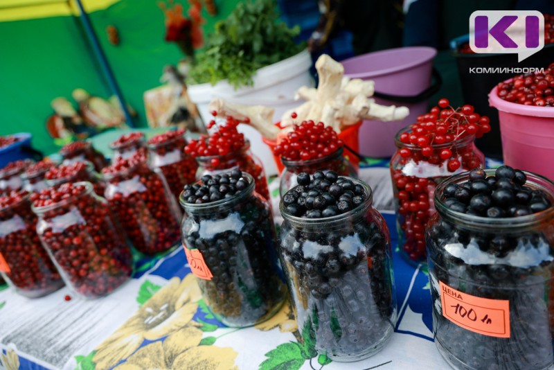 В Сыктывдинском районе благоустроят ярмарочную площадь