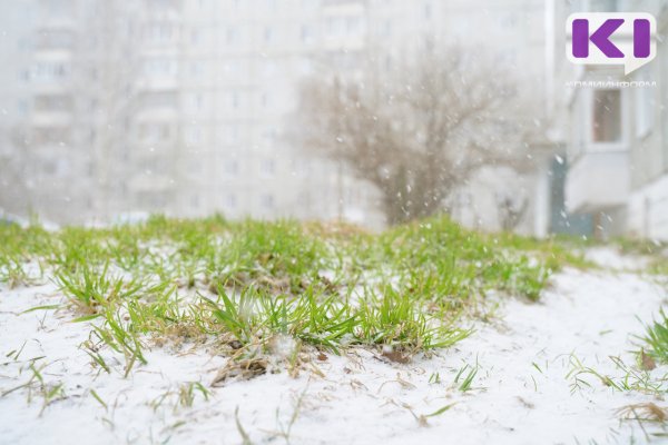 Погода в Коми 11 апреля: на юге +13°С, на севере - метель