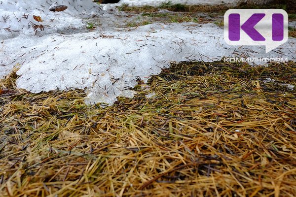 Погода в Коми 12 апреля: на севере снег, на юге весеннее тепло