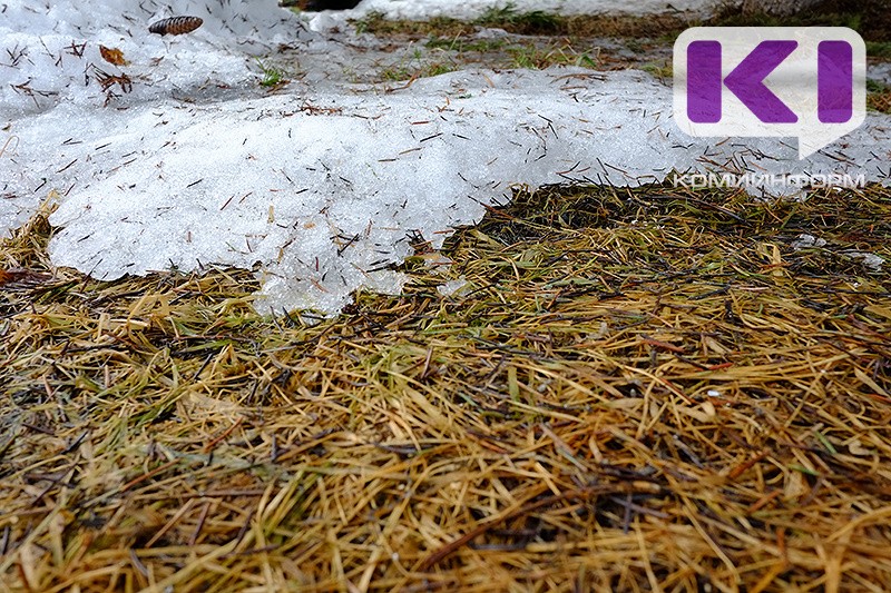 Погода в Коми 12 апреля: на севере снег, на юге весеннее тепло