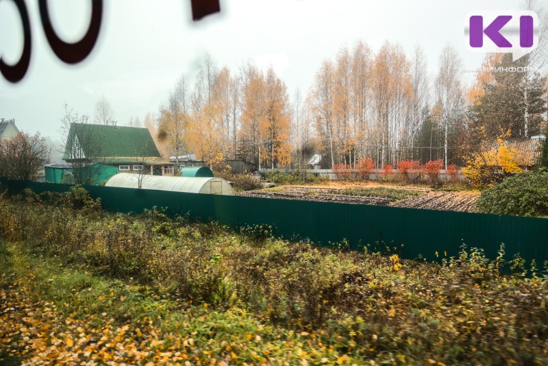 Жители Коми получили уведомления: их участки попали в зоны с особыми условиями использования - что это значит