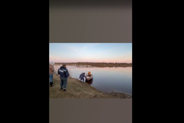 Сыктывкарские спасатели помогли перевезти корм в Кочпон-Чит для застрявших собак 