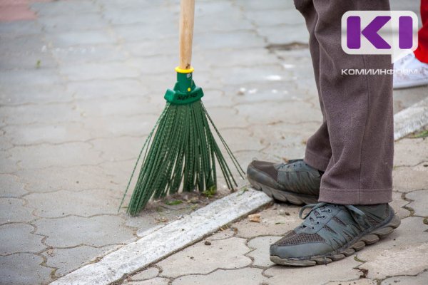 Заработок подростков в лагерях труда и отдыха Коми составил от 6 до 15 тысяч рублей