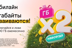 Бесконечное удвоение гигабайтов: билайн запустил акцию для организации интернета в загородном доме