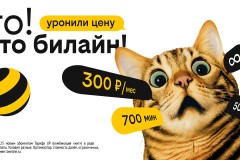 Билайн снизил цены для жителей Сыктывкара при новом подключении