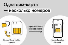 Китайский номер без перелётов: как купить в России, а зарегистрировать онлайн