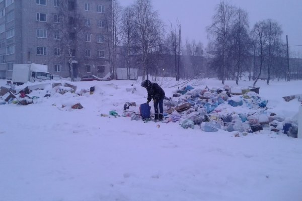 Администрация Печоры пытается решить вопрос вывоза мусора с контейнерных площадок