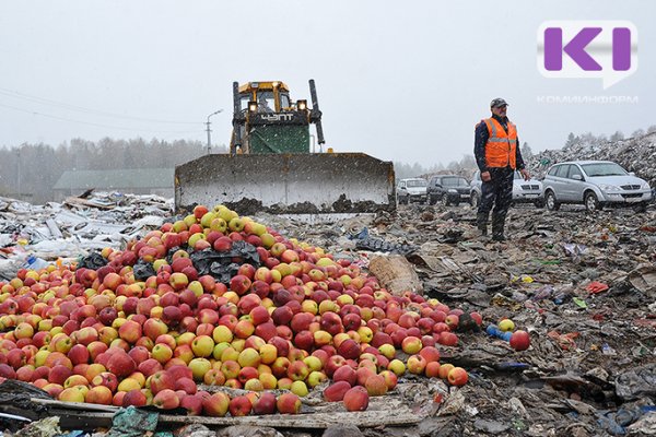 В Коми в 2019 году не выявлено ни одного случая продажи санкционной продукции 