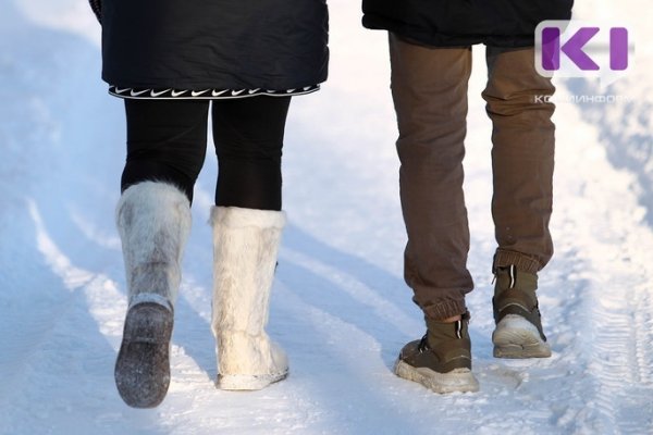 В северных районах Коми ожидается метель