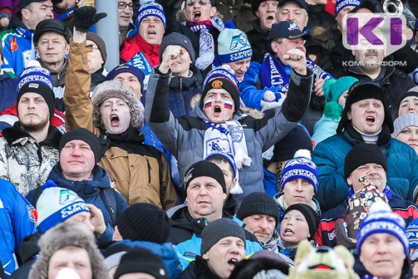 Продолжается конкурс на создание талисмана Чемпионата мира по хоккею с мячом в Сыктывкаре