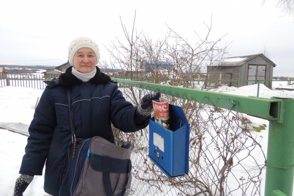 В Коми назвали самые читающие районы 