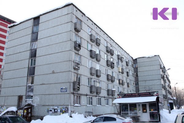 Прочь с корабля: в Сыктывкаре проверят все подвалы на наличие крыс