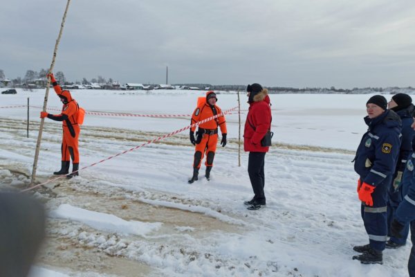 В Сыктывкаре к поискам утонувшего тракториста подключат технику