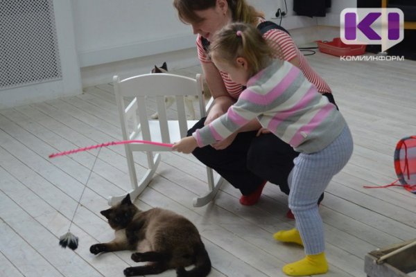 Для перевозимых в самолетах животных предложили покупать билеты

