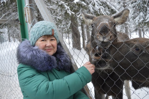 В Коми пожилые занимаются нейробикой, путешествуют по заповедным местам и осваивают оригами