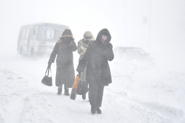 В Воркуте из-за штормового ветра отменили учебу в школах и училищах 