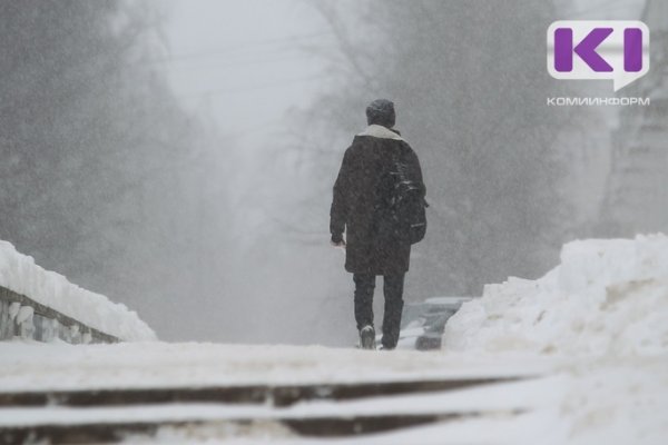 В Воркуте из-за метели объявили актированный день