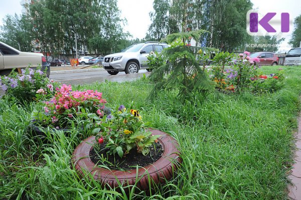 В Сыктывкаре стартовало рейтинговое голосование