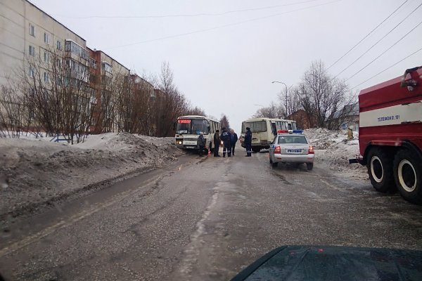 В Печоре два автобуса столкнулись из-за перебегавшего дорогу ребенка /подробности/