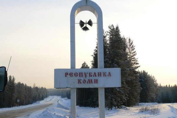 В Коми едет комиссия при президенте