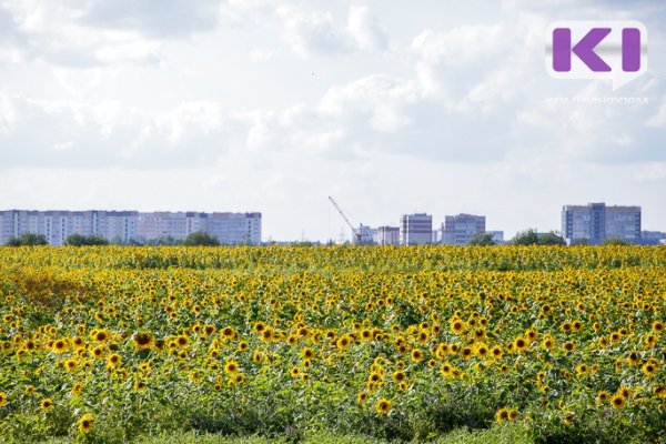 Сыктывкару впору возглавить рейтинг экологически чистых городов - Андрей Тентюков