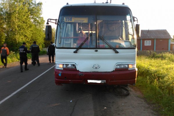 Сыктывкарский суд взыскал с автоперевозчика полмиллиона рублей за смертельное ДТП с ребенком