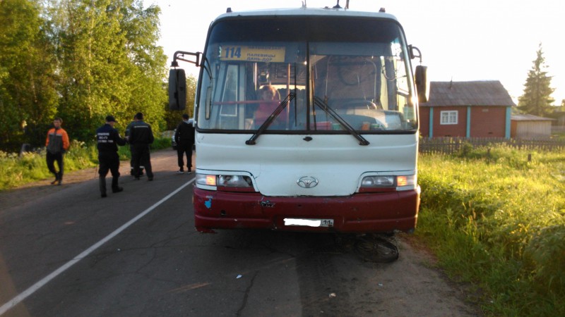 Сыктывкарский суд взыскал с автоперевозчика полмиллиона рублей за смертельное ДТП с ребенком