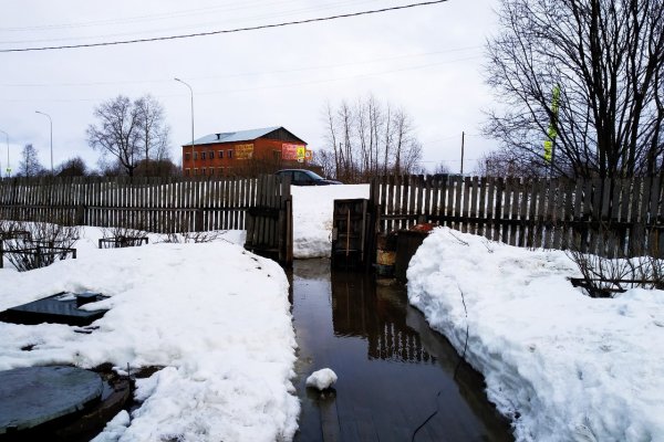 В Выльгорте пенсионеры каждую весну 