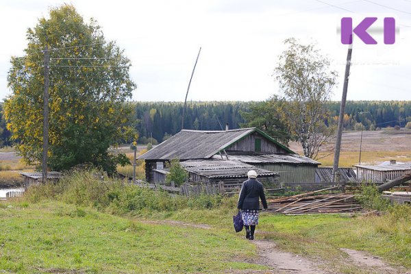 В Койгородском районе женщина украла и продала ружье 