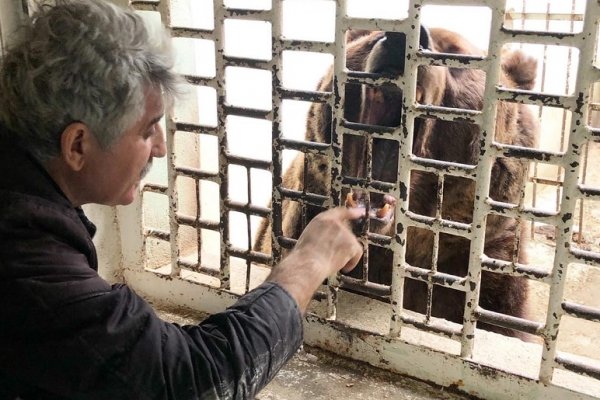 Животные зооуголка Ухты нуждаются в помощи