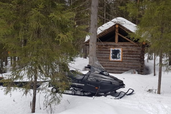 Охотники Коми просят не закрывать весеннюю охоту 