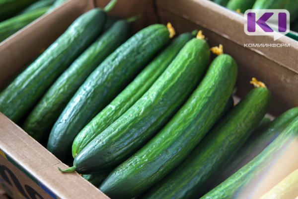 В Коми одиноких пожилых людей обеспечат бесплатными свежими овощами

