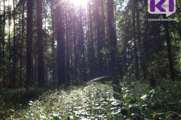 Владимир Уйба принял участие в селекторном совещании с вице-премьером правительства РФ Викторией Абрамченко
