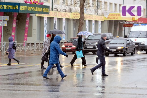 В Коми планируют ввести специальный налоговый режим для самозанятых