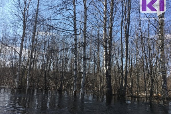 В северных районах Коми объявлено штормовое предупреждение