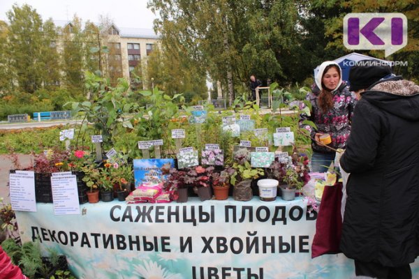 Дачный сезон: как подготовить ягодные культуры