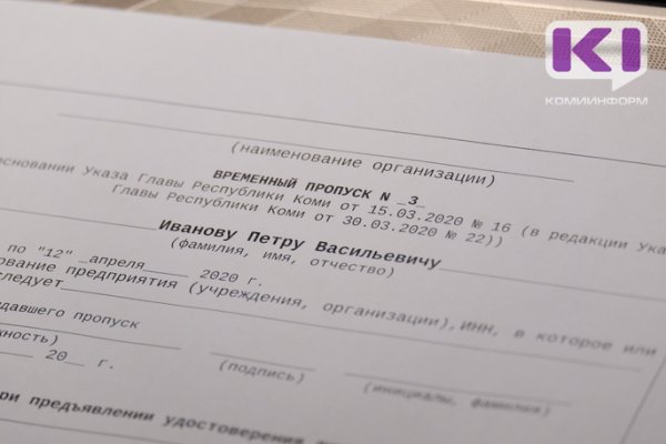 Опубликованы ответы на часто задаваемые вопросы по выдаче электронных пропусков в Коми

