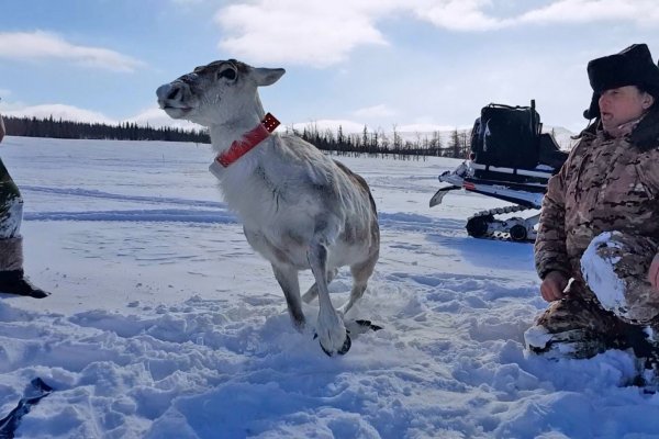 В парке 