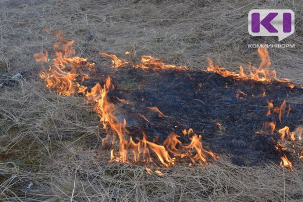 В Коми сезон пала травы начался с Прилузья

