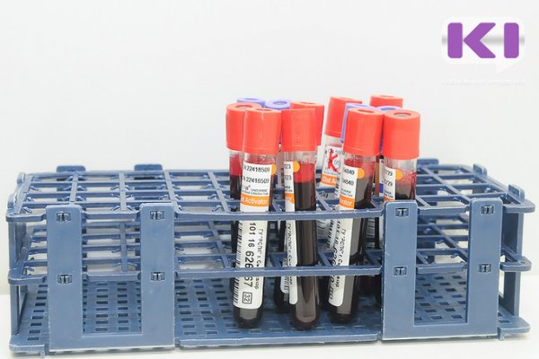 В Сыктывкаре медики приступили к тестированию экспериментального препарата от COVID-19