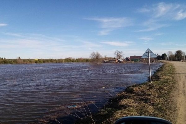 В селе Летка вода подошла к придворовым территориям восьми домов