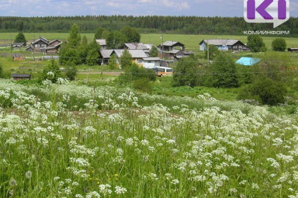 Владимир Уйба рассказал о мерах поддержки аграриев