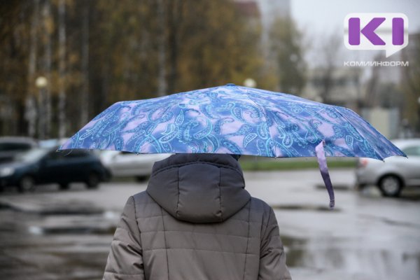 Тепло, но дождливо будет на предстоящих выходных в Коми 